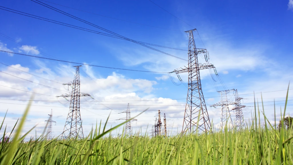 A szürke eminenciás enni kér