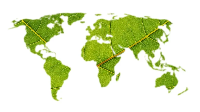 Gigantikus zöld áramvezetékek: kontinensnyi távolságból is lehet importálni a megújuló energiát