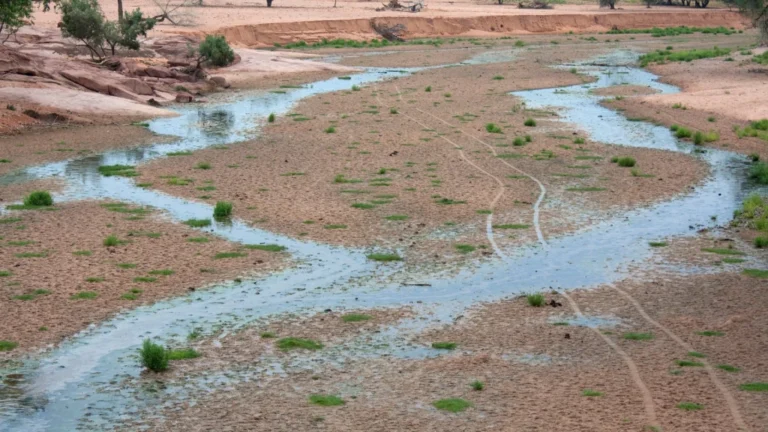 Hogy hat az energiapiacra a szélsőséges időjárás?