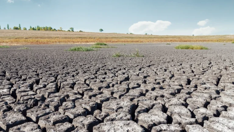 Tíz éve rendezték a párizsi klímacsúcsot